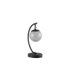 14 in. Black Pendulum LED Glass Orb Metal Table Lamp with USB Port by ORE International